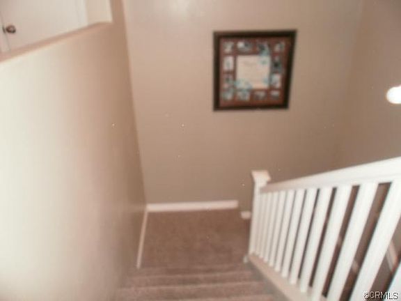 5th image of 31769 Delfina Way