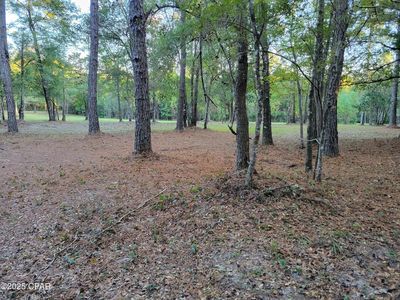 0 Hardwood Ln, Ponce De Leon, FL, 32455