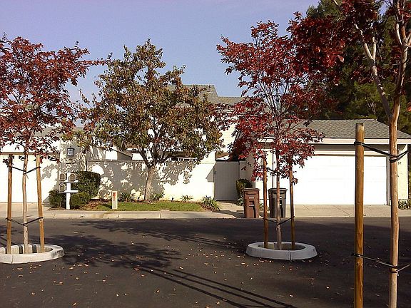 Street View Dec. 2011