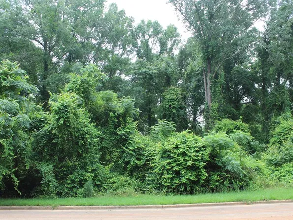 306 Ironhorse Ct, Albany, GA 31721