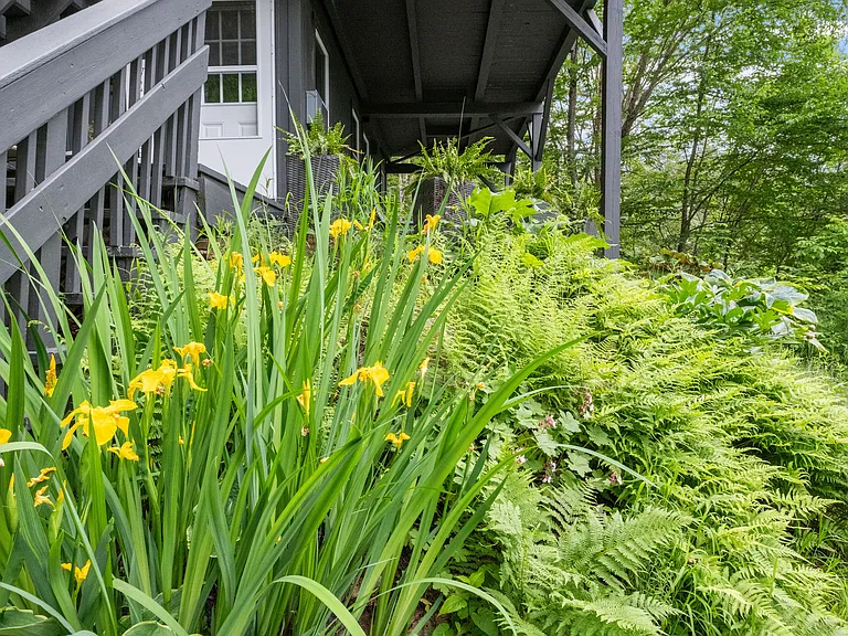 Hilltop Dr — Photo 66