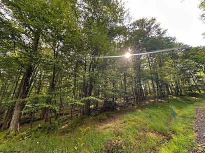 Lots 53/54 Goldenrod Dr, Terra Alta, WV, 26764