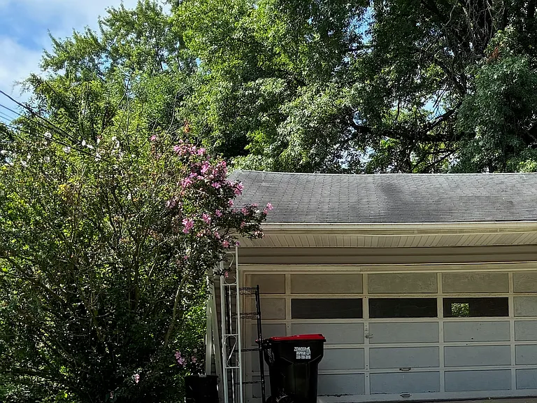 Flowering bush starting to bloom now near double garage