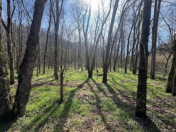 2nd image of 0 Pine Lick Rd