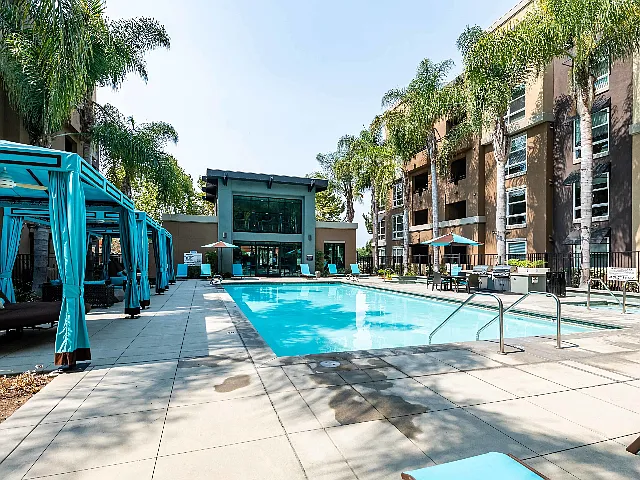Calypso Apartments and Lofts — Photo 26