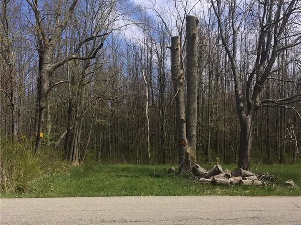 9849 Utica St, Angola, NY 14006