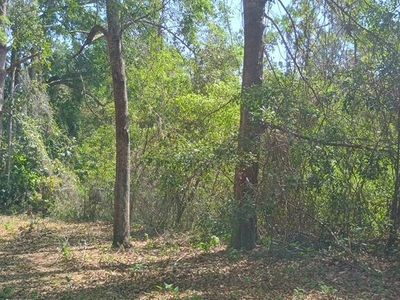 16280 Palacky St, Brooksville, FL, 34604