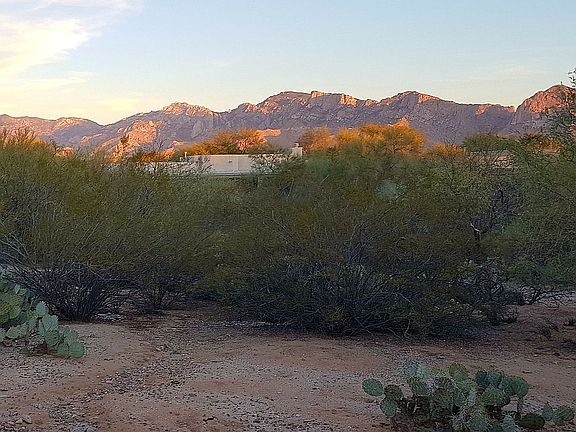 View From Back Porch