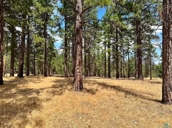 469-410 Childrens Rd, Susanville, CA 96130