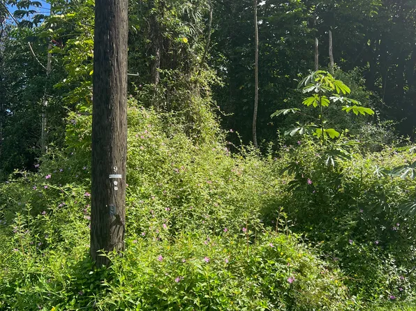 31st Ave Lot 322, Keaau, HI 96749