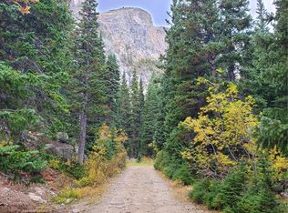 Canyon Cir LOT 72, Idaho Springs, CO 80452