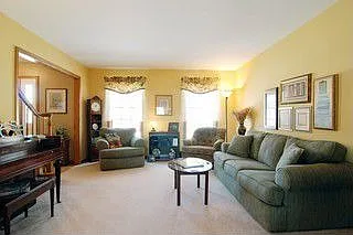 335 Olson Ct photo 1