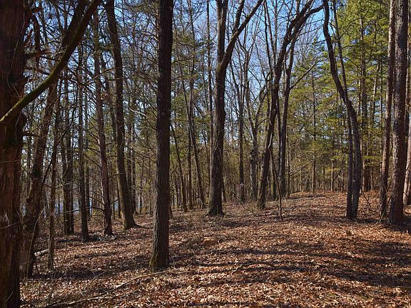 4th image of TRACT A/B Shiloh Cove Ln