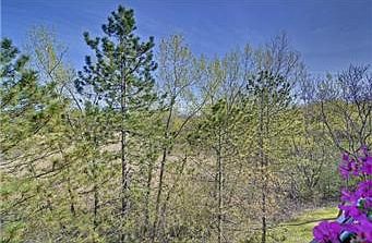 Your view from the balcony - Nature preserve