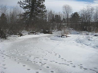 2nd image of 96 Acres On Martin Dr