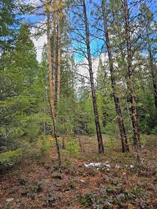 Nhn Hwy E #200, Bonner, MT, 59823
