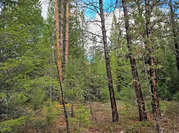 Nhn Hwy E #200, Bonner, MT 59823