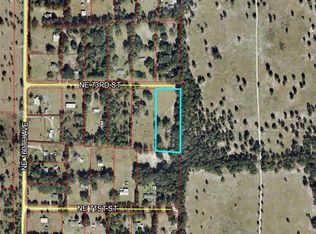 16290 NE 73rd St, Williston, FL 32696