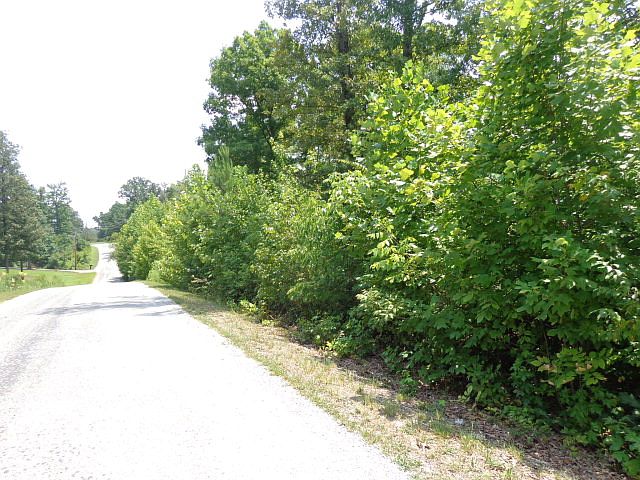 2nd image of Carlton Dr