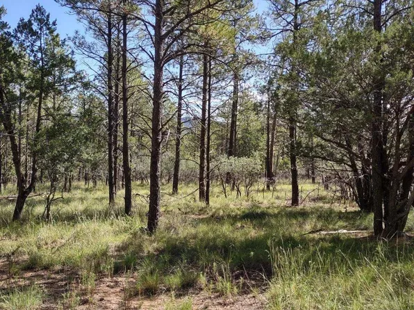 197 Homewood Dr, Timberon, NM 88350