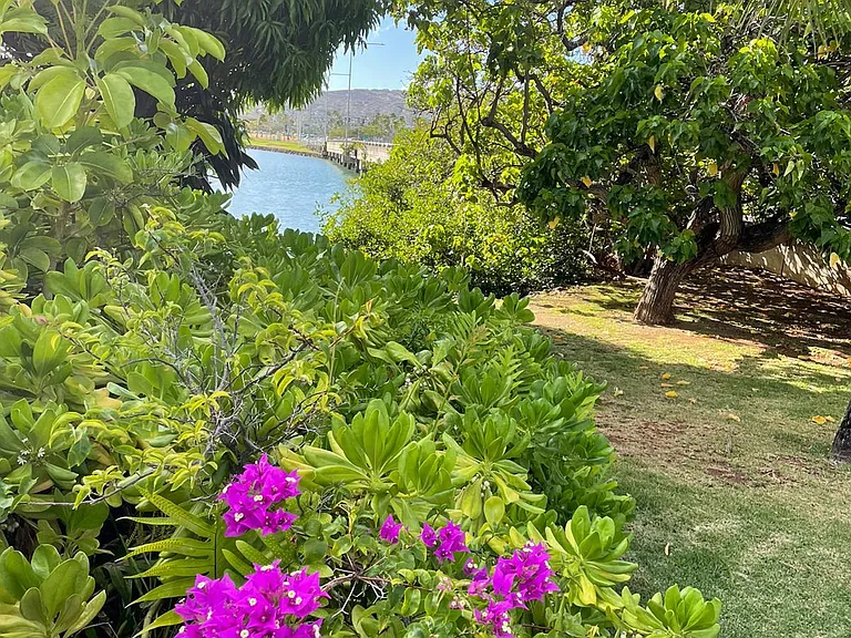 211 Kawaihae St #D9 — Photo 18
