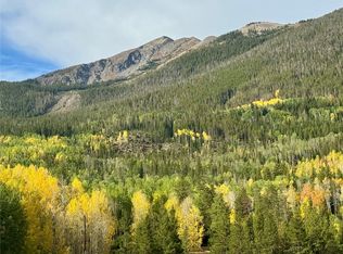 520 Bills Ranch Road UNIT 343, Frisco, CO 80443