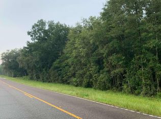 Tbd Cr #132, Live Oak, FL 32060