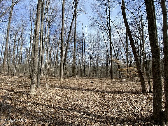 3rd image of 2297 Shady Cove Rd