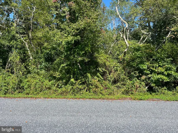 Eppinger Ave, Elmer, NJ 08318