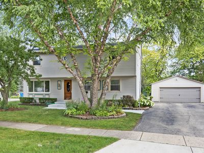 7005 Lowell Dr, Carpentersville, IL, 60110