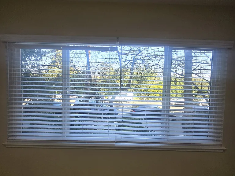 255 MacArthur Boulevard — Photo 22
