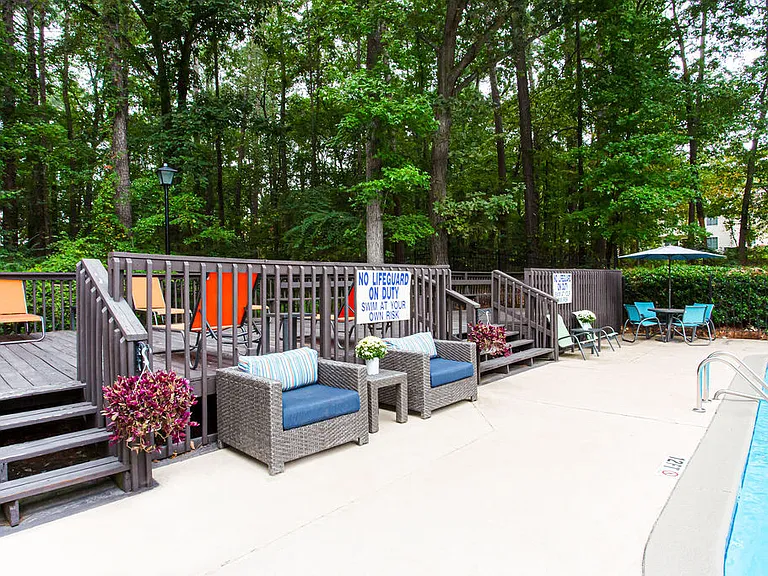 Lory of Harbison — Photo 8