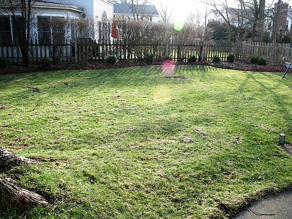 Spacious and Beautifully Fenced Backyard