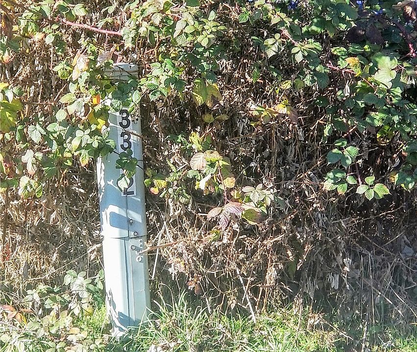 2nd image of 3302 80th Ave SE