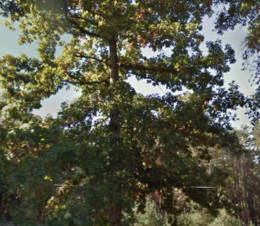 2nd image of 2109 Diamond Hill Rd