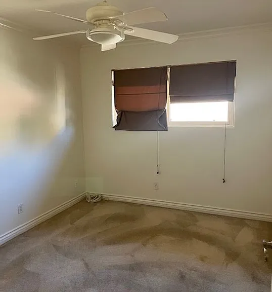 13019 Oakwood Ln — Photo 10