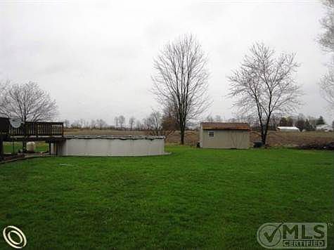 Back yard pool and shed.jpg