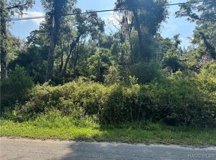 4785 S Silver Fox Ter, Inverness, FL 34452