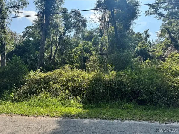 4785 S Silver Fox Ter, Inverness, FL 34452