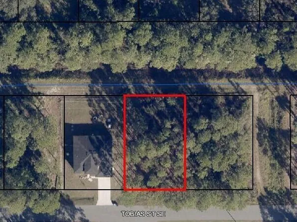 491 Tobias St SE, Palm Bay, FL 32909