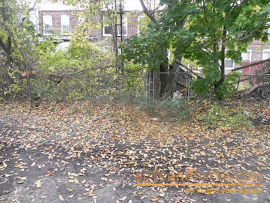 Rented by aptsandlofts.com | media 58