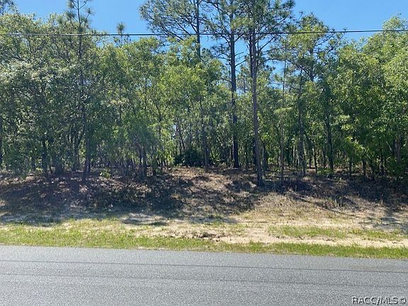4th image of 5358 N Peppermint Dr