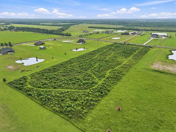 2nd image of Birdnest Rd