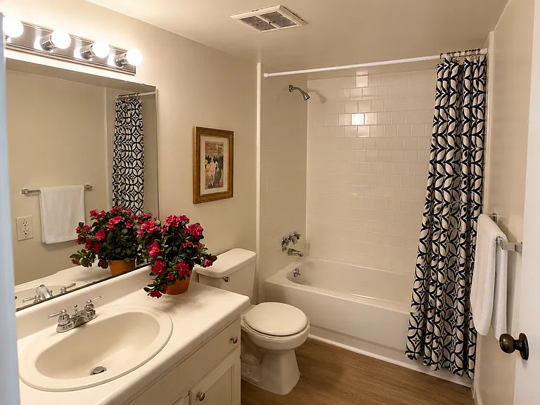 Cedar Greene bathroom