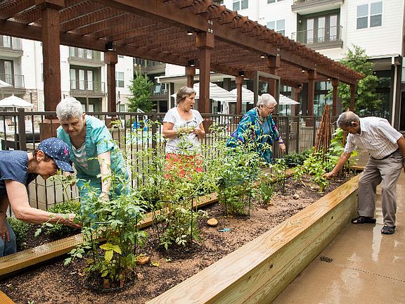 Garden Club