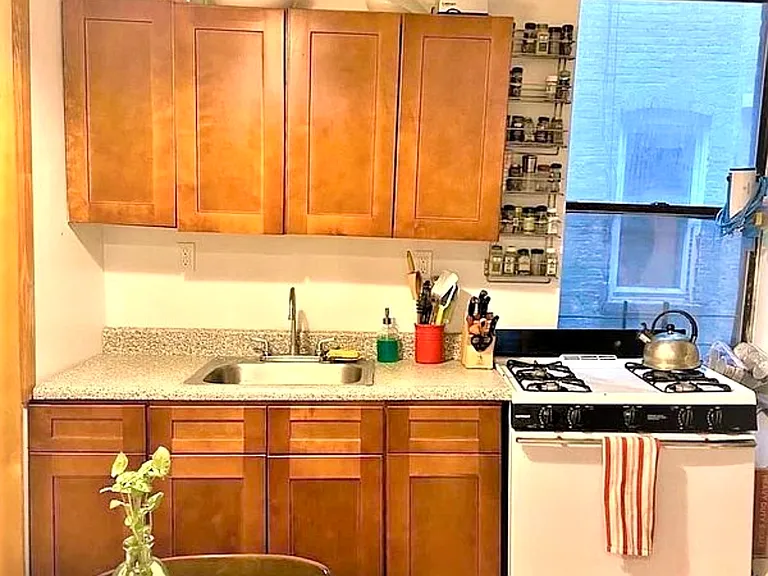 239 Troy Ave #3 — Photo 3