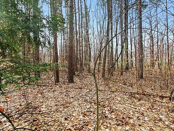 3rd image of 5818 Hunters Rdg