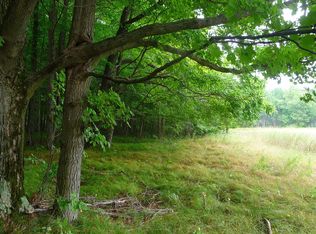 4366 Ten Mile Rd LOT WP001, Evart, MI 49631