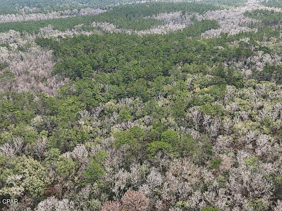 2nd image of 0 Clemmons Rd