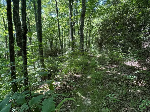 0 Rugged Top Rd, Hendersonville, NC 28792